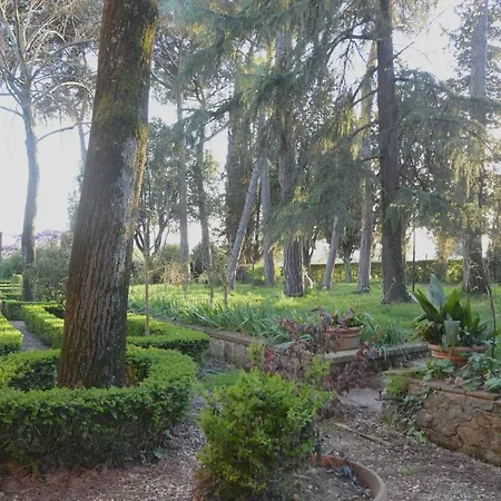 Villa Dimora Degli Ulivi