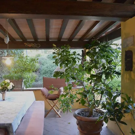 Dimora Degli Ulivi Firenze
